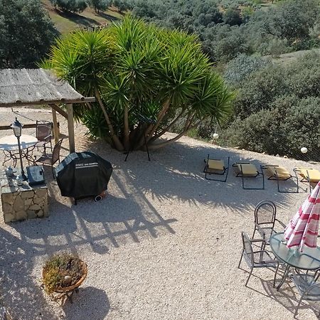 Hacienda La Buena Vida B&B En Appartementen Casita Almendas La Carrera de la Vina ภายนอก รูปภาพ