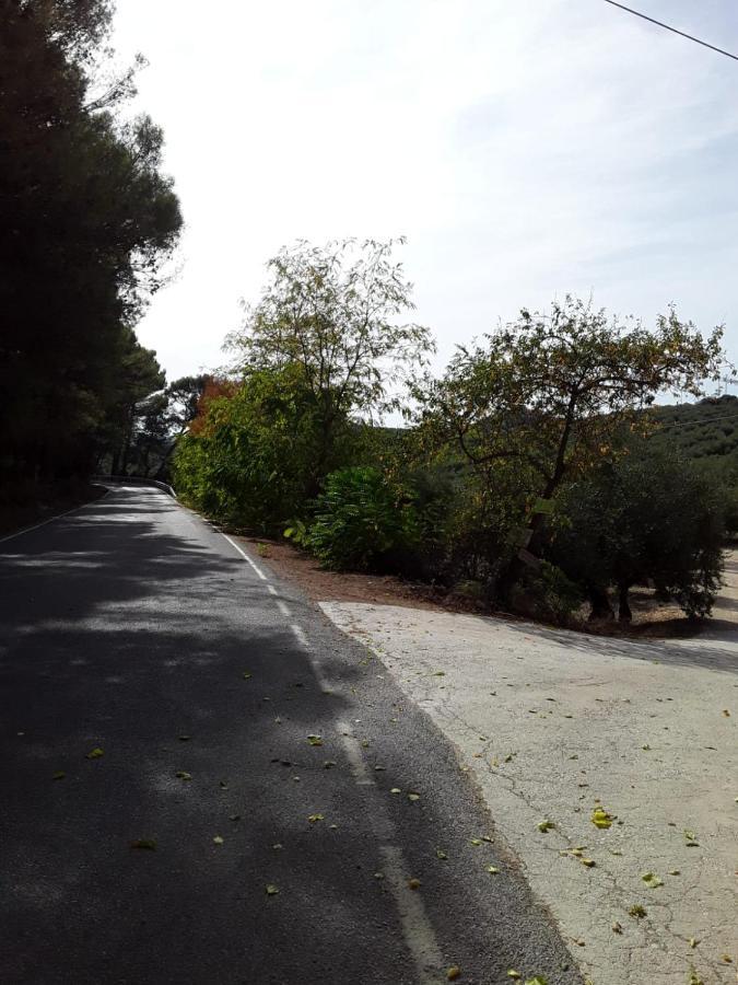 Hacienda La Buena Vida B&B En Appartementen Casita Almendas La Carrera de la Vina ภายนอก รูปภาพ