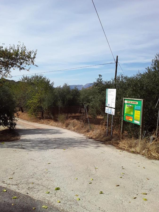 Hacienda La Buena Vida B&B En Appartementen Casita Almendas La Carrera de la Vina ภายนอก รูปภาพ