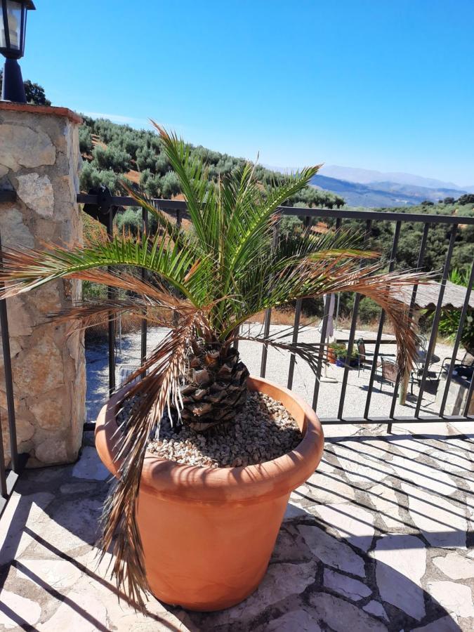Hacienda La Buena Vida B&B En Appartementen Casita Almendas La Carrera de la Vina ภายนอก รูปภาพ