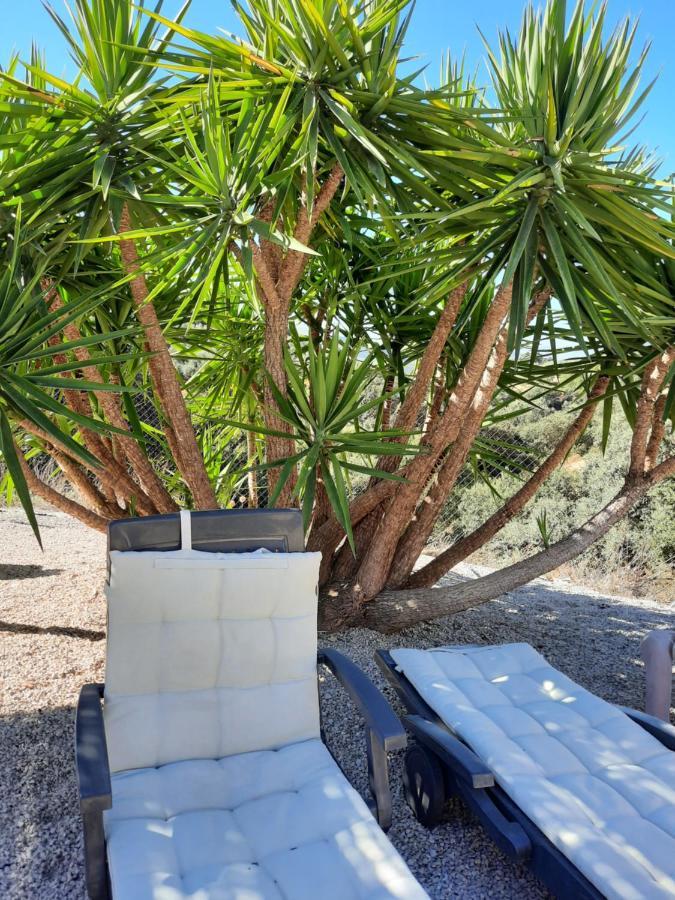 Hacienda La Buena Vida B&B En Appartementen Casita Almendas La Carrera de la Vina ภายนอก รูปภาพ