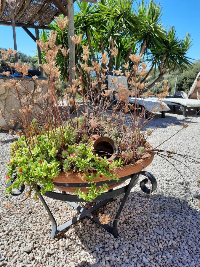 Hacienda La Buena Vida B&B En Appartementen Casita Almendas La Carrera de la Vina ภายนอก รูปภาพ