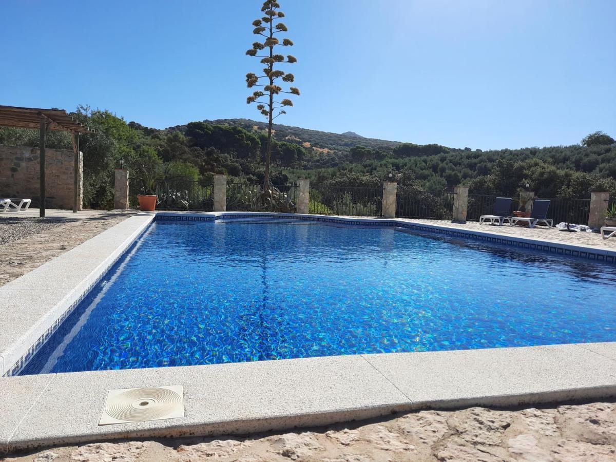 Hacienda La Buena Vida B&B En Appartementen Casita Almendas La Carrera de la Vina ภายนอก รูปภาพ