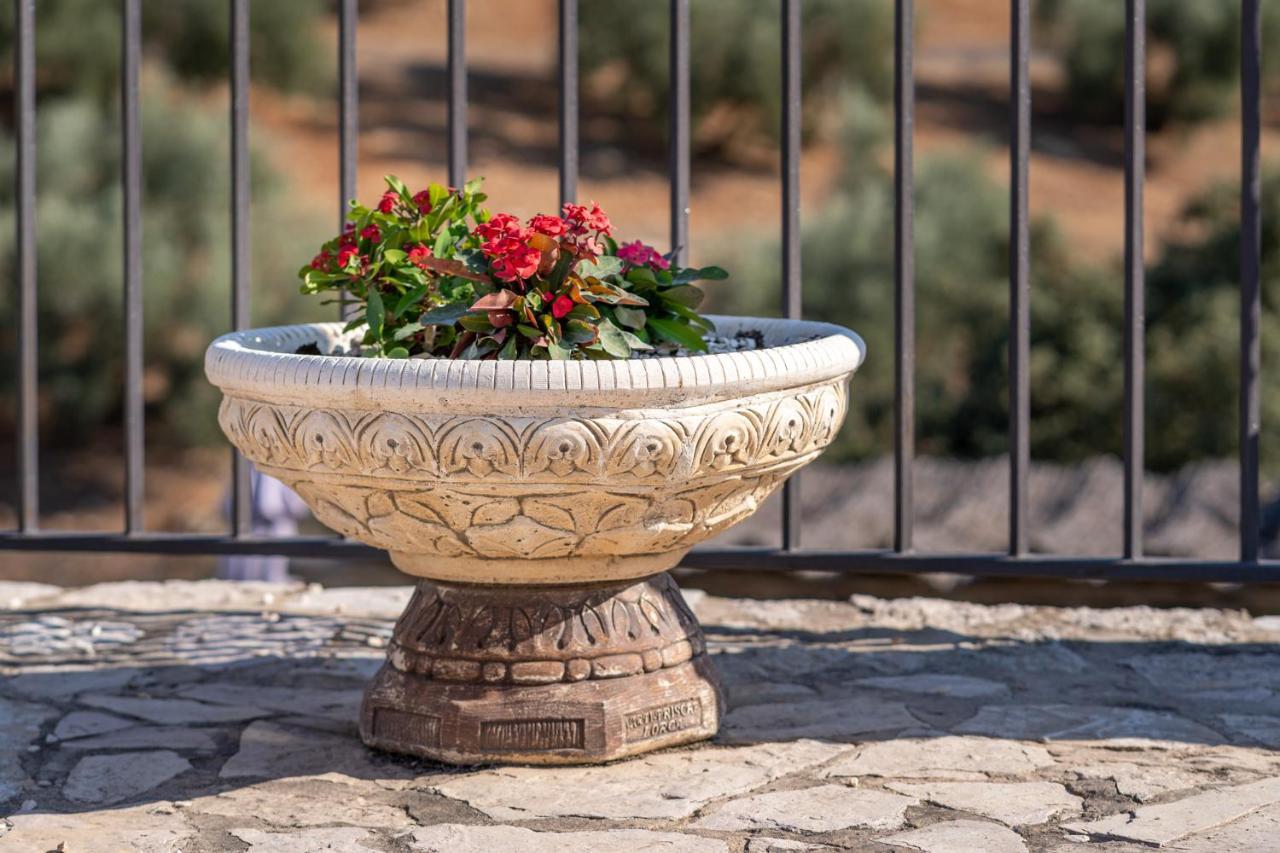 Hacienda La Buena Vida B&B En Appartementen Casita Almendas La Carrera de la Vina ภายนอก รูปภาพ