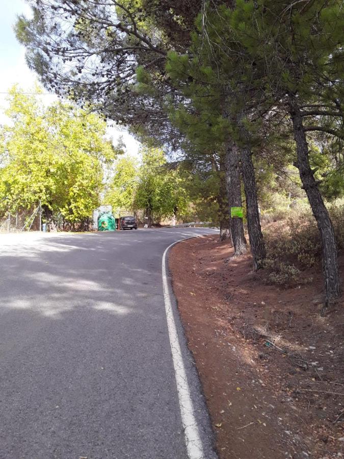 Hacienda La Buena Vida B&B En Appartementen Casita Almendas La Carrera de la Vina ภายนอก รูปภาพ