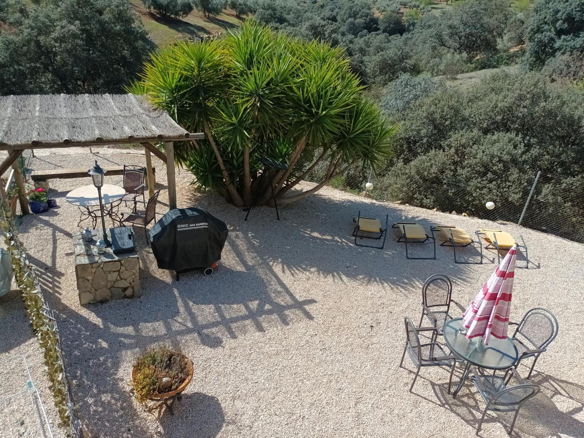 Hacienda La Buena Vida B&B En Appartementen Casita Almendas La Carrera de la Vina ภายนอก รูปภาพ